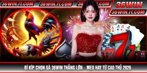 Bí Kíp Chọn Gà 36WIN Thắng Lớn – Mẹo Hay Từ Cao Thủ 2026