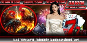 Đá Gà Thomo 36WIN – Trải Nghiệm Cá Cược Gay Cấn Nhất 2026