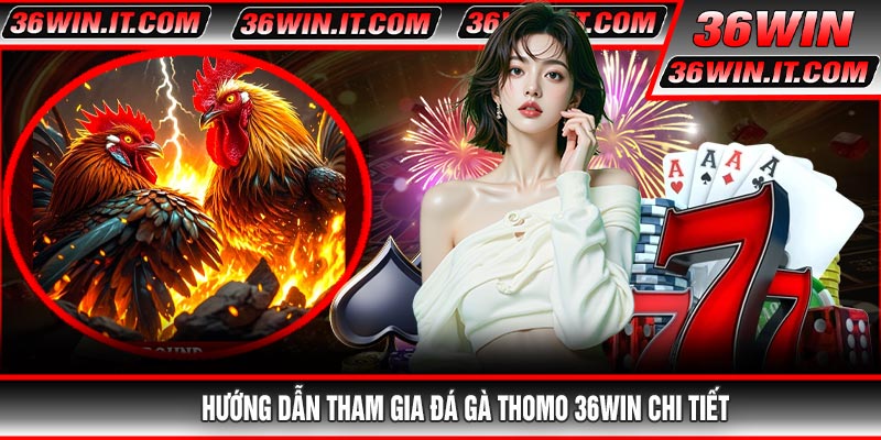 Hướng Dẫn Tham Gia Đá Gà Thomo 36WIN Chi Tiết