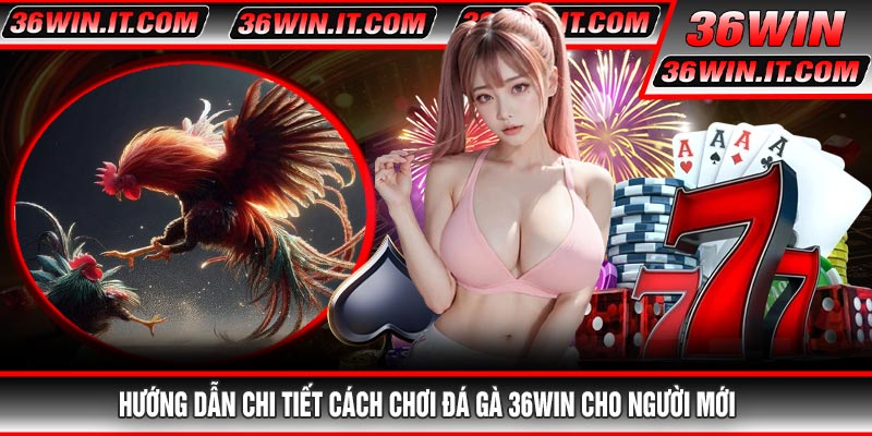 Hướng dẫn chi tiết cách chơi Đá Gà 36WIN cho người mới