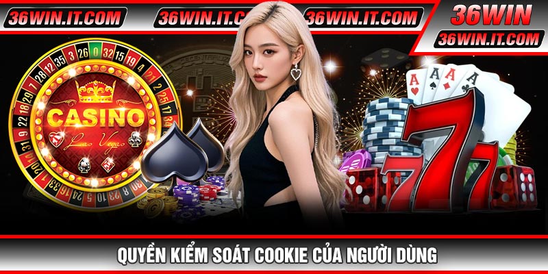 Quyền Kiểm Soát Cookie Của Người Dùng