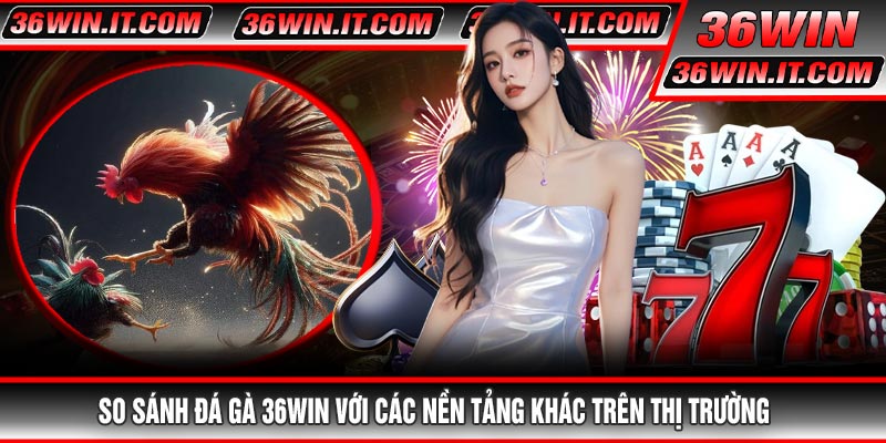 So sánh Đá Gà 36WIN với các nền tảng khác trên thị trường