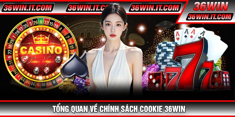 Tổng Quan Về Chính Sách Cookie 36WIN
