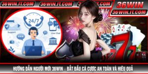 Hướng Dẫn Người Mới 36WIN – Bắt Đầu Cá Cược An Toàn Và Hiệu Quả